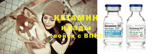 прущие грибы Абдулино