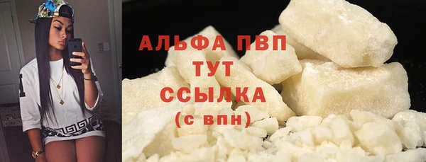 прущие грибы Абдулино