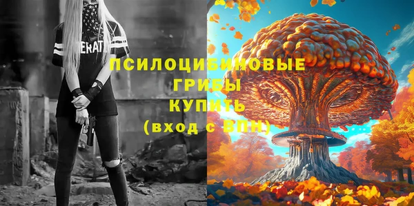 прущие грибы Абдулино