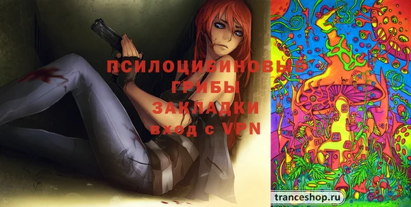 прущие грибы Абдулино