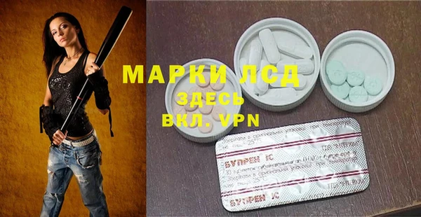 прущие грибы Абдулино