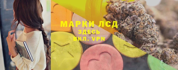 прущие грибы Абдулино